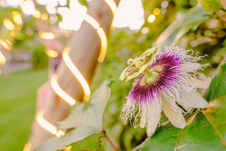 Cabana Raízes em Chapecó - LaCabanasEco