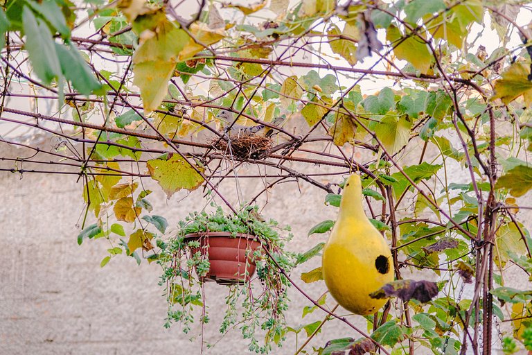 Cabana Raízes: Hidro + Lareira + Piscina Privativa